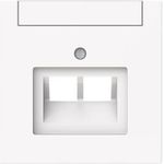 BUSCH-JAEGER 1803-02-44G Zentralscheibe 2-fach UAE Beschriftungsf (2CKA001710A4227)