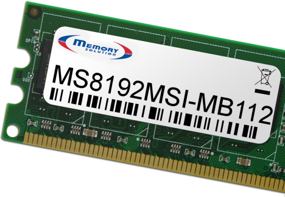 Memory Solution MS8192MSI-MB112 8GB Speichermodul (MS8192MSI-MB112)