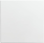 Busch Jaeger Blindzentralscheibe alpinweiß 1576 C-914 (1582-0-0401)