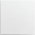 Busch Jaeger Blindzentralscheibe alpinweiß 1576 C-914 (1582-0-0401)