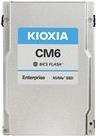 KIOXIA CM6-R Series KCM61RUL960G (KCM61RUL960G)