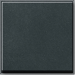 GIRA 029667 Zubehör für elektrische Schalter (029667)