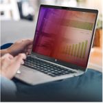 StarTech.com 14-inch 16:9 Laptop Privacy Screen, Reversible Gold Filter w/Enhanced Privacy, Computer Security Filter, Removable Screen Protector/Shield, +/- 30 Deg. (14G-PRIVACY-SCREEN)