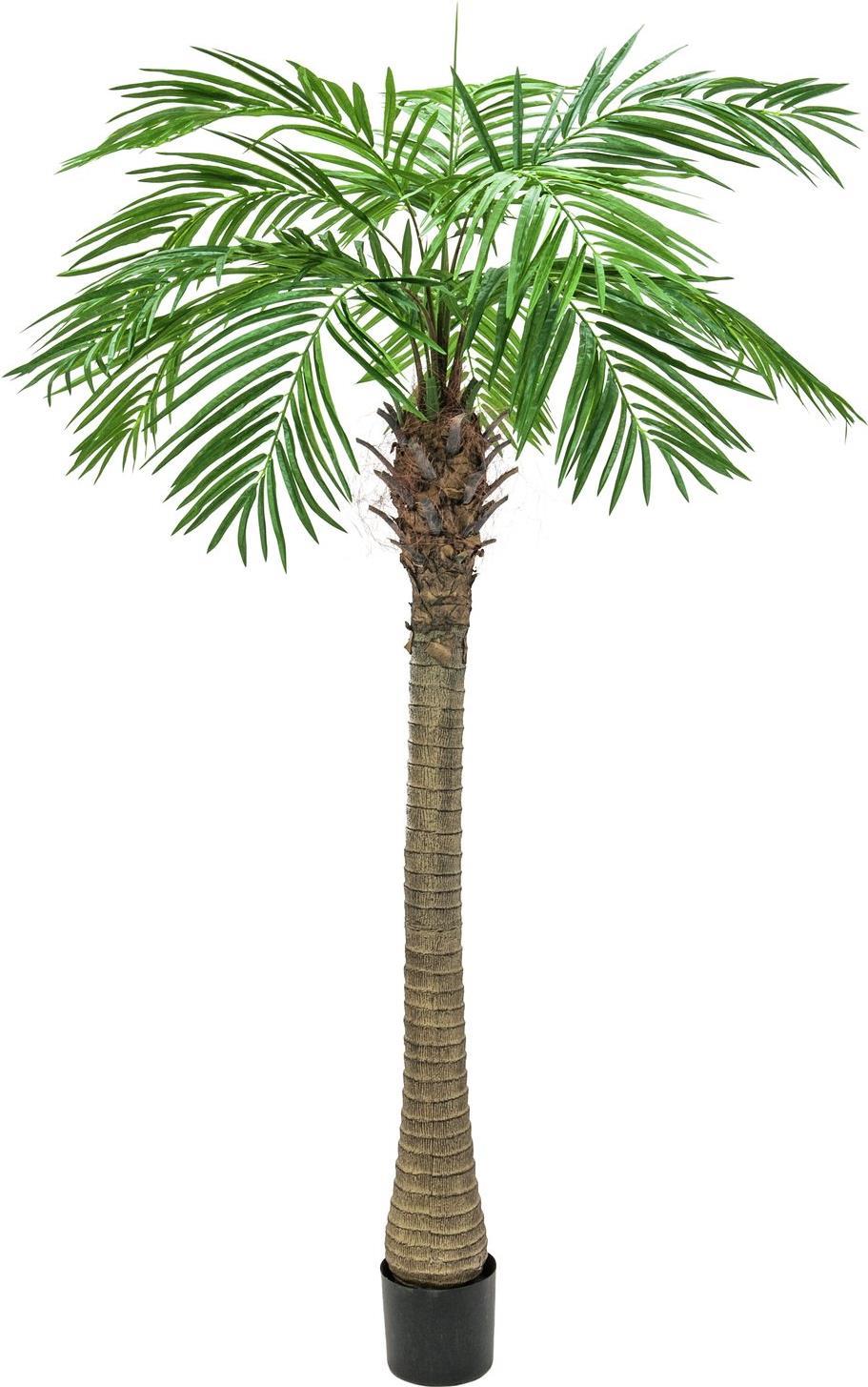 EUROPALMS Phönixpalme luxor, Kunstpflanze, 240cm (82510722)