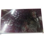 Dell ASSY LCD, Touch Screen, 14 (T066T)