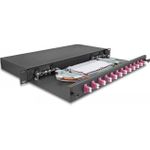 Delock 19? LWL Spleißbox 12 x LC Duplex OM4 1HE spleißfertig komplett bestückt (67005)