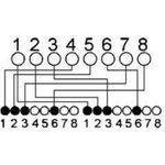 S/CONN maximum connectivity Adapter Telefon Patch-cat. 5e Patchkabeladapter, RJ 45 Stecker auf 2 x RJ 45 Buchse, geschirmt, Belegung: Ethernet / Ethernet, 0,1 m (75002-1)
