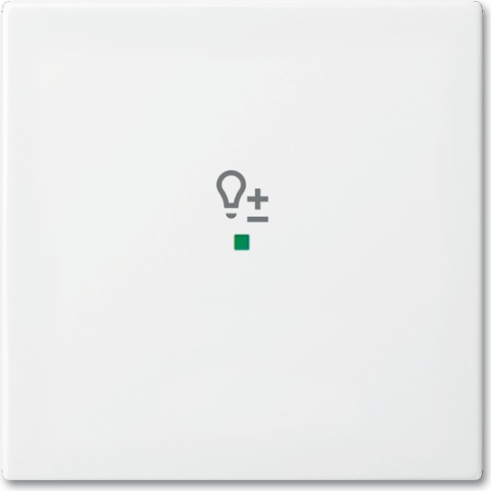 Busch-Jaeger 2CKA006220A0359 Abdeckplatte für Sensorhalterung & -sockel Weiß (2CKA006220A0359)