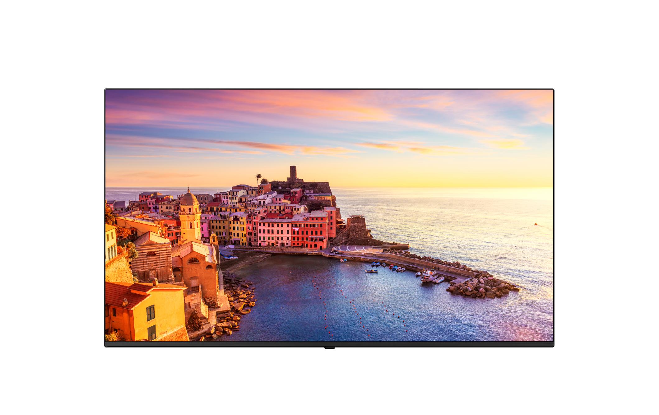 LG Hotel-TV 65UM662H4 65" 4K UHD Smart-TV webOS 23 Grau