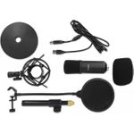 Delock Professional USB Condenser Microphone Set for Podcasting and Gaming (66300)