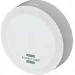 Brennenstuhl 1293920 Temperatursensor und Luftfeuchtesensor Weiß TFS CZ 01 (1293920)