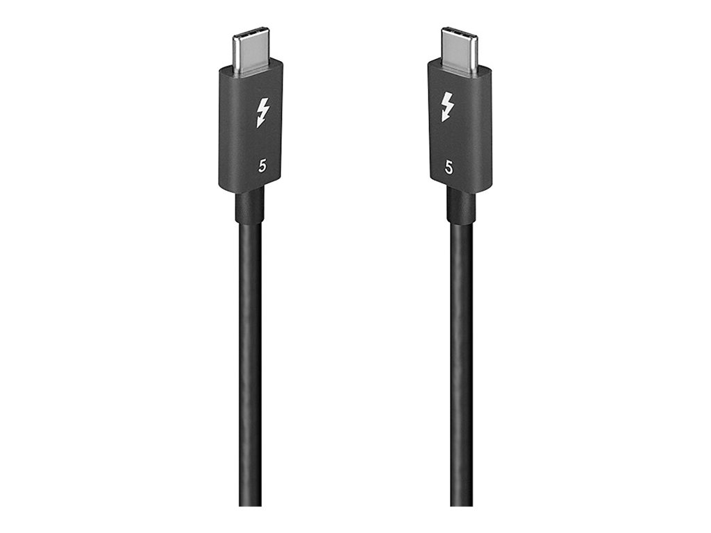 Lindy Thunderbolt 5 Passives Kabel USB-C 1 m 80 Gbit/s Schwarz