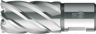 BDS Kernbohrer HSS Standard 30,0mm Schnitt.30mm Weldon-Aufnahme (KBK-030)