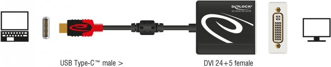 DeLOCK 61213 Videokabel-Adapter 0,2 m USB Typ-C DVI Schwarz (61213)