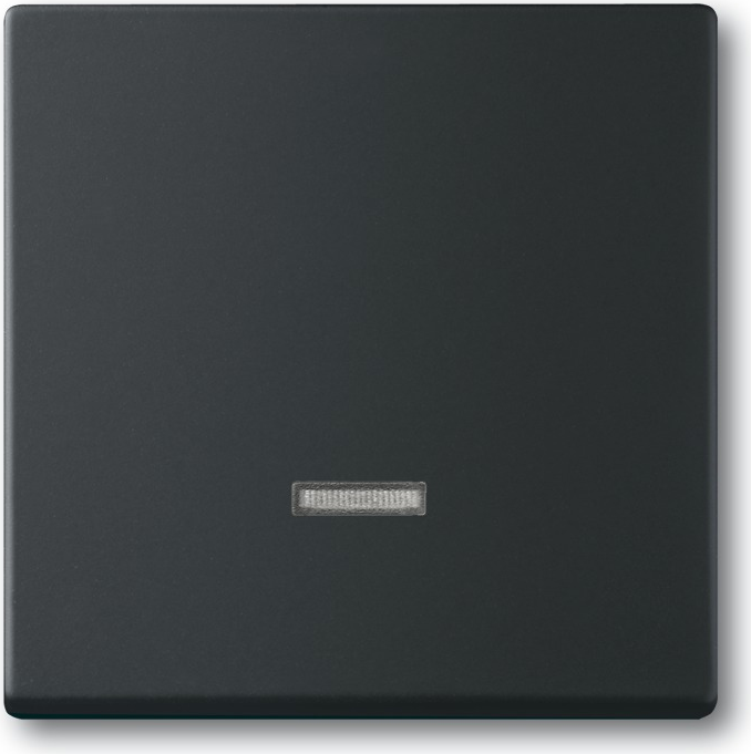 Busch Jaeger 2CKA006599A2968 Elektroantrieb IP20 Schwarz (2CKA006599A2968)