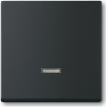 Busch Jaeger 2CKA006599A2968 Elektroantrieb IP20 Schwarz (2CKA006599A2968)