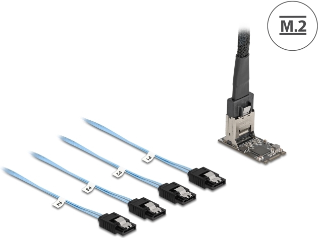 Delock M.2 2242 Key B+M Kontroller zu 4 x SATA mit 1m Kabel - Serial ATA (64260)