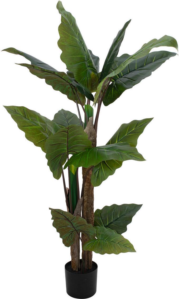 EUROPALMS Pfeilblatt - Alocasia, Kunstpflanze, 140cm (82508464)