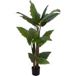 EUROPALMS Pfeilblatt - Alocasia, Kunstpflanze, 140cm (82508464)
