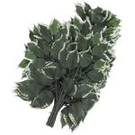 EUROPALMS Ficuszweig, künstlich, 12x (82506100)