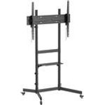 Equip Bodenstandhalter 55"-100"/1TFT Economy sw (650637)