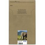 Epson 24 Multipack Easy Mail Packaging (C13T24284510)