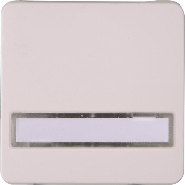 Kopp Flächenwippe m.Linse 330513005 HK02 Symbol Schlüssel arktis-ws 1 (330513005)