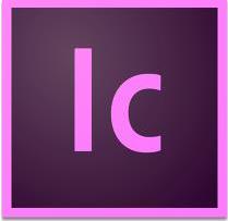 Adobe InCopy CC for teams (65297671BA01A12)