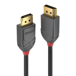 Lindy Anthra Line DisplayPort-Kabel (36480)