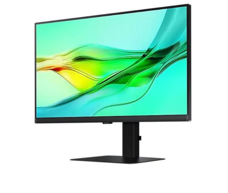 Samsung ViewFinity S24D604U 24" 16:9 2560x1440 [Energieklasse F] (LS24D604UAUXEN)