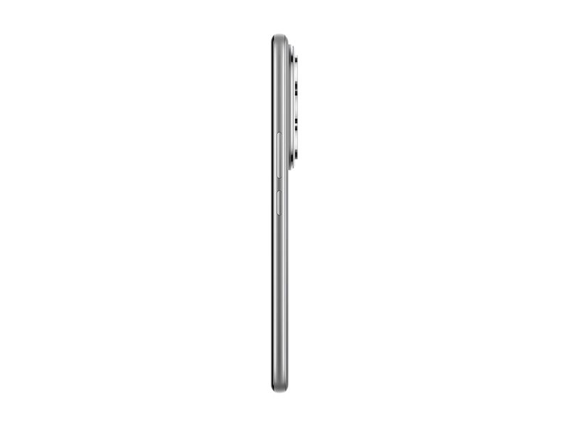Honor 400 Pro 5G Smartphone 6,7" OLED 12 GB RAM 512 GB Lunar-grau
