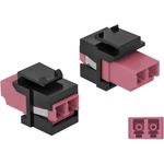 Delock Modulare Eingabe (86721)