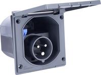 AS Schwabe 61492 CEE Stecker 16 A 230 V 1 St. (61492)