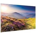 Projecta FullVision Wide Format (10600726)