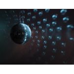 Eurolite Mirror ball set 30cm with pinspot Mehrfarbig (50101860)