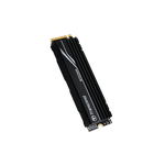 Transcend MTE250H SSD (TS2TMTE250H)