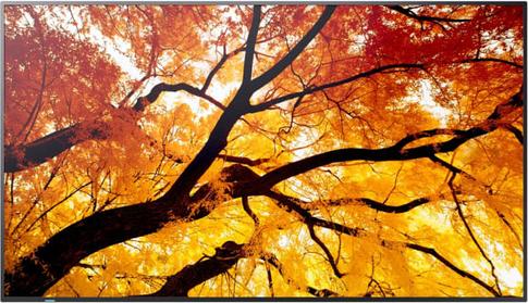 NEC MultiSync PN-M982 248,90cm (98") UHD 4K LED Large Format Display Digital Signage