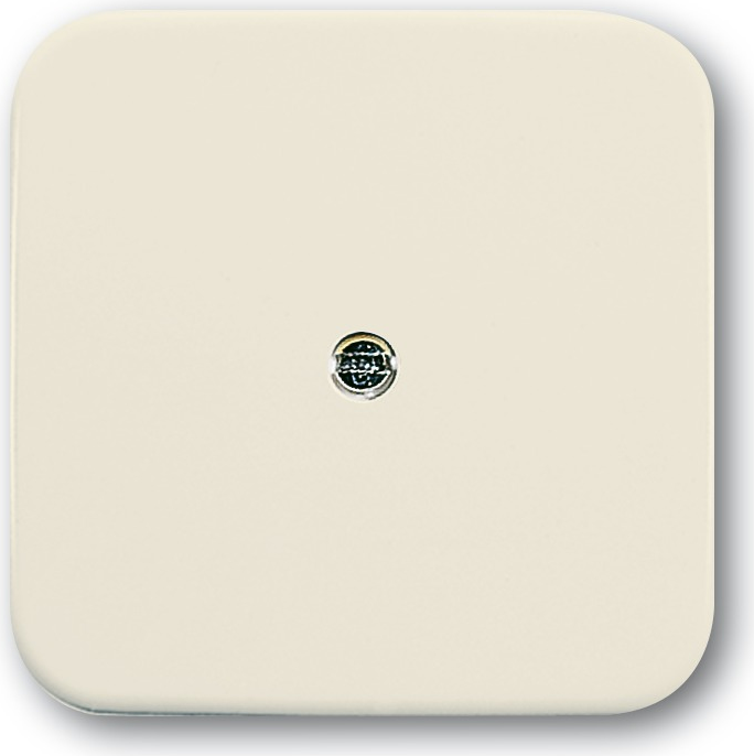 Busch Jaeger 1724-0-0244 Wandplatte/Schalterabdeckung Weiß (1724-0-0244)