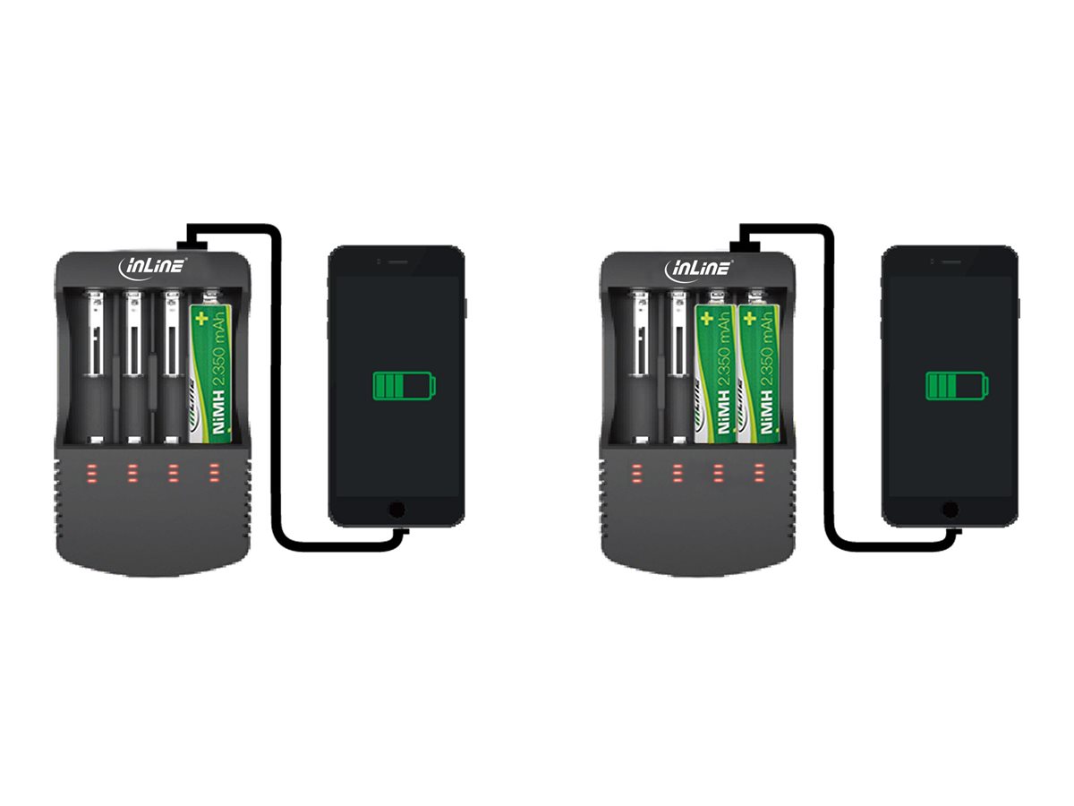 InLine 01287L Batterieladegerät 12 W Schwarz
