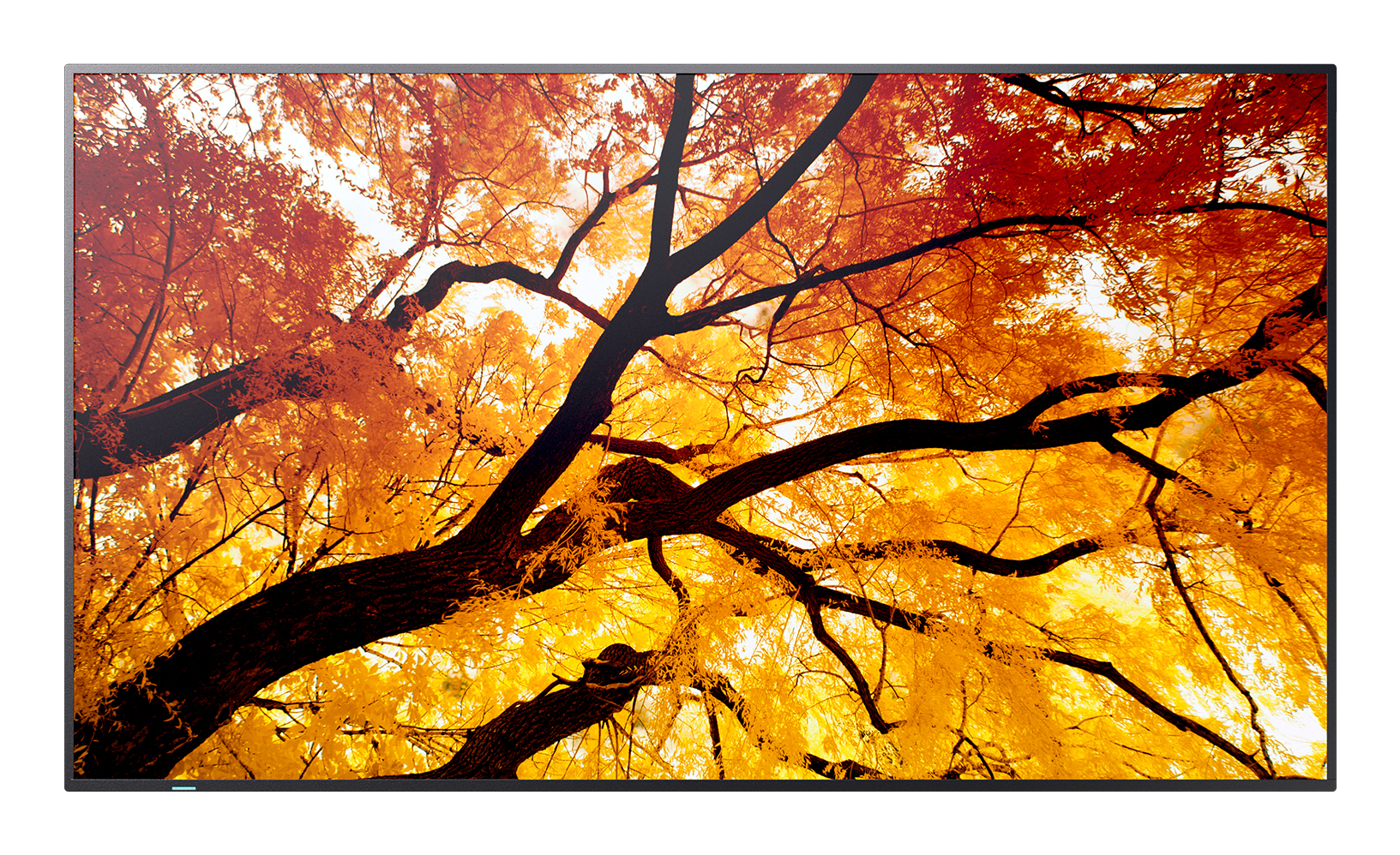 Sharp MultiSync M862 86" 4K UHD Digital Signage Display 550 cd/m² Schwarz