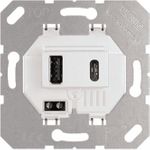 Jung USB-Ladegerät USB15CAWW (USB15CAWW)