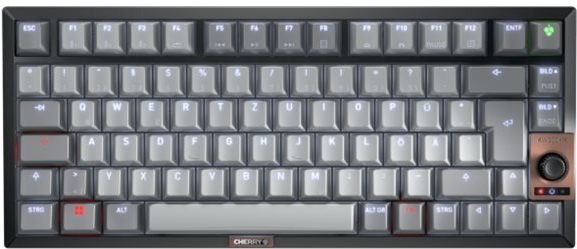 Cherry TAS Keyboard wireless MX 2A silent red LT DE SChwarz (G80-3960HHADE-2)