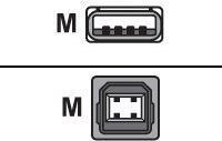 Zebra USB-Kabel USB (M) bis USB Typ B, 4-polig (M) (G105850-007)