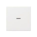 GIRA Abdeckung Kontrollschalter System 55, Standard 55, E2, Event, Event Klar, Event Opak, Esprit, ClassiX Sauber-Weiß (029003)