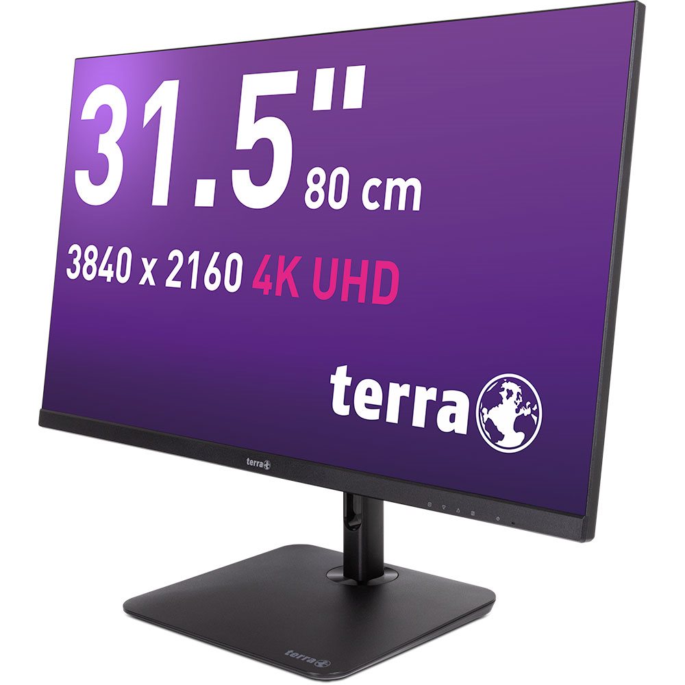 TERRA LCD/LED 3295W PV 4K USB-C/DP/HDMI - Flachbildschirm (TFT/LCD) - 31,5" [Energieklasse F] (3030234)