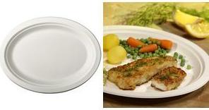 PAPSTAR Zuckerrohr-Teller "pure", oval, 260 x 200 mm, 50er aus Zuckerrohr, kompostierbar, mikrowellengeeignet bis - 1 Stück (89741)