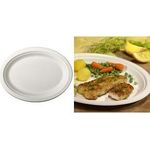 PAPSTAR Zuckerrohr-Teller "pure", oval, 260 x 200 mm, 50er aus Zuckerrohr, kompostierbar, mikrowellengeeignet bis - 1 Stück (89741)