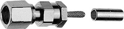 Telegärtner SMC-Steckverbinder Buchse, gerade 50 Ohm J01171A0001 1 St. (J01171A0001)