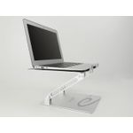 Delock Notebook-Ständer (18414)