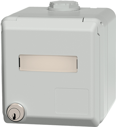 Datendose Cepex Leergehäuse (4375G)